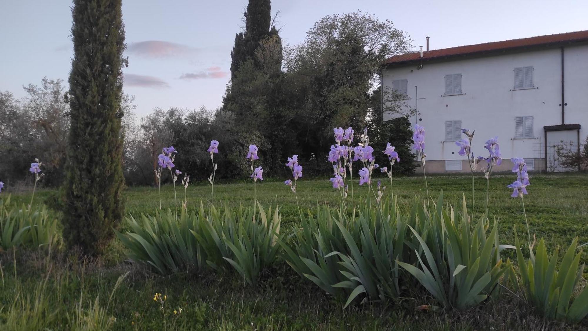 Vila Borgo Iris Pietraia Exteriér fotografie