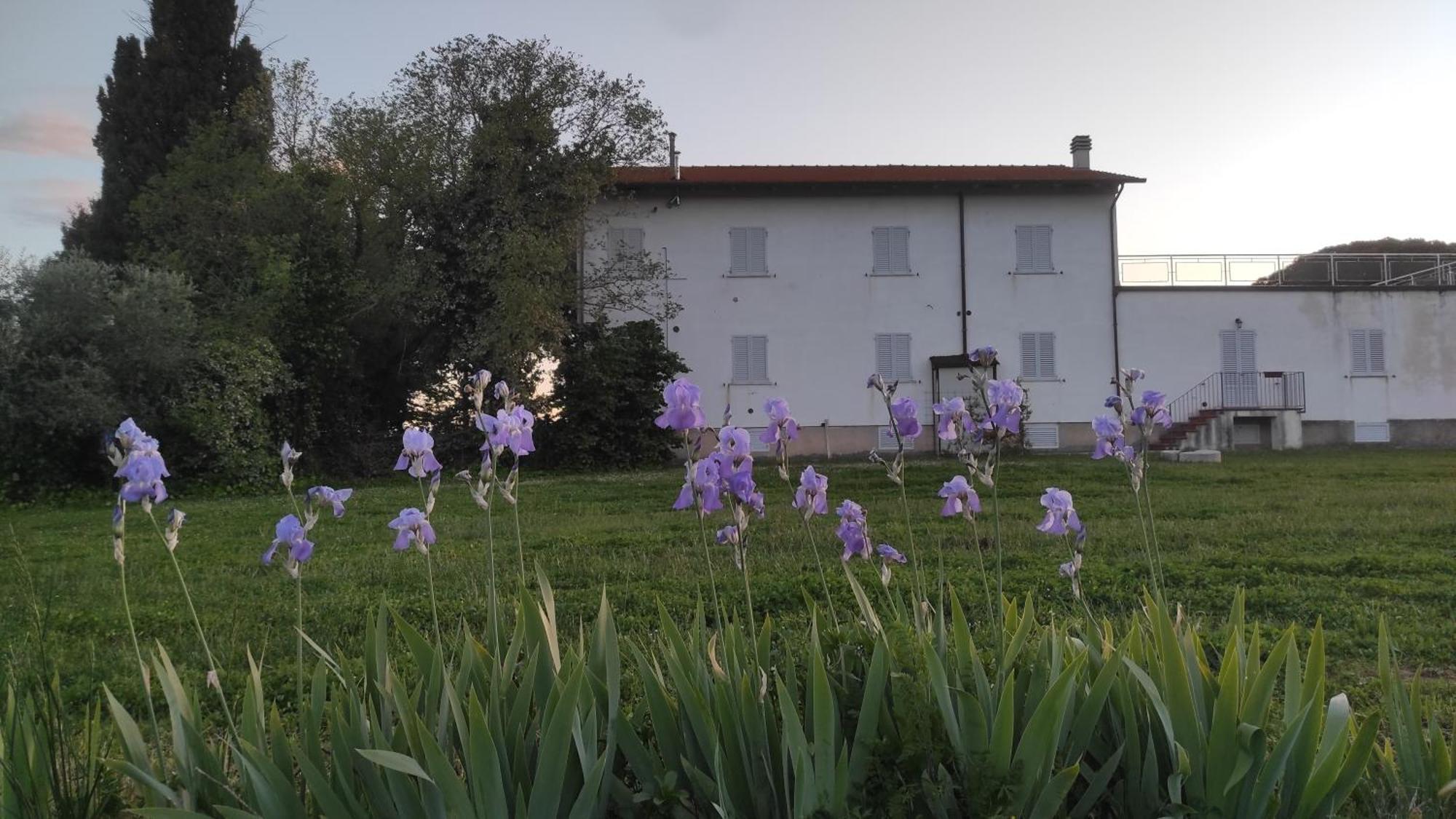 Vila Borgo Iris Pietraia Exteriér fotografie