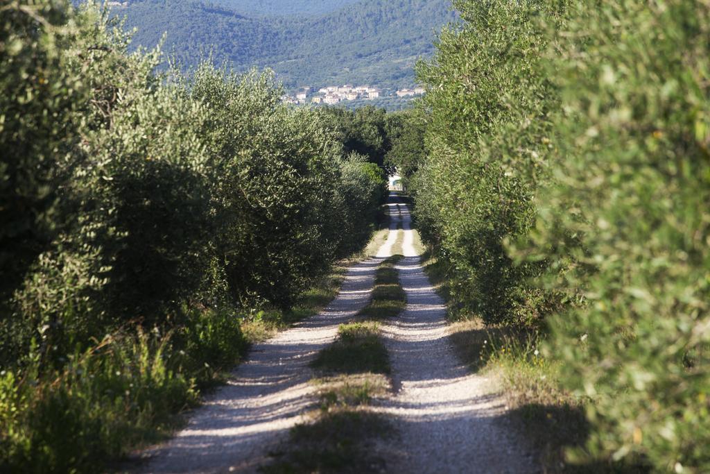 Vila Borgo Iris Pietraia Exteriér fotografie